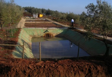 Sociedade Agrcola Herdade do Zambujal